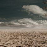 ¿Qué dice la Biblia sobre los padres que abandonan a sus hijos?