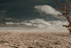 Paisaje árido con tierra agrietada y árbol seco que evoca abandono y plantea: ¿Qué dice la Biblia sobre los padres que abandonan a sus hijos?