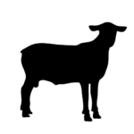 What Does the Bible Really Say About Sacrificing Animals?