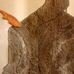 La sorprendente respuesta bíblica sobre nuestra diferencia con los animales