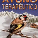 Ayuno de 3 días según la Biblia: Guía completa paso a paso