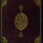 Discovering God's Truth: What the Bible Says About Belief