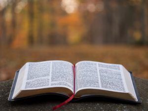 Open Bible resting on a stone with autumn bokeh background, Why the Bible is the Ultimate Book: Unveiling Its Secrets.