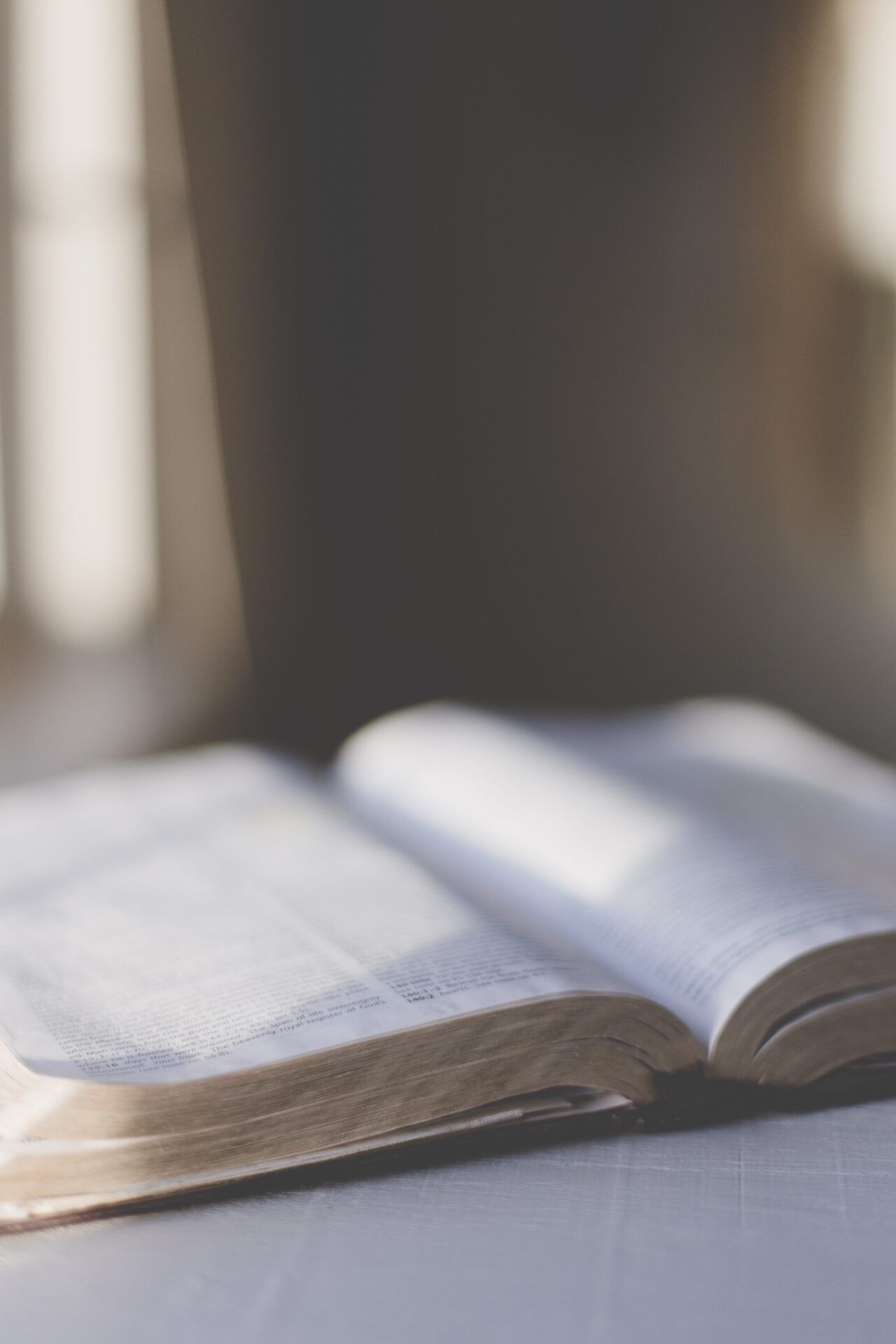 That Bibble What the Bible Really Says: Surprising Truths You Need to Know