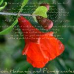 Unveiling the Mysteries: What the Bible Reveals About the 7-Year Period