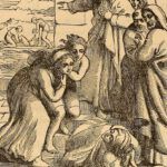 What Does the Bible of the Dead-Valera Actually Reveal?