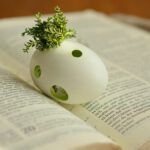 Unlocking the Secret to Eternal Life: A Biblical Guide