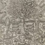 Discover the Origins of the Bible with Genesis - The First Book