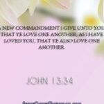 Discovering Biblical Wisdom: What Does the Bible Say About Giving?