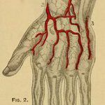 Discovering the Meaning of Life: How the Bible Interprets It