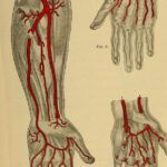 Discovering the Meaning of the Bible for Modern Times: How the Bible Interprets Today