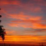 Discover the Exact Bible Page for Psalm 91 - Find Your Answer Now!