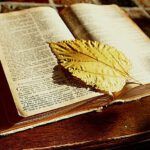 Discover the Power Within: What the Bible Says About Strength