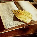 What Does the Bible of Turkey Actually Say? Uncovering the Truth