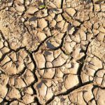 Unveiling the Truth: What the Bible of Unequal Yokes Really Says