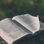 5 Powerful Bible Verses to Rebuke Your Children - Learn What the Bible Says!