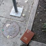 Descubre cómo leer la Biblia en un año en 2021: el método definitivo