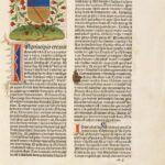 ¿Qué significa 'Cuídate de la que duerme a tu lado' en la Biblia?