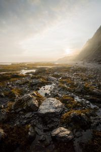 Los misteriosos 1000 años según la Biblia: ¿Qué revelan las Escrituras? Costa rocosa al amanecer con charcos, algas y acantilado envuelto en niebla.