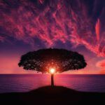 ¿Qué dice la Biblia sobre el Tercer Cielo? Descubre la verdad aquí