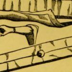 What Does the Bible Say About Customs and Traditions? Discover the Truth Here!