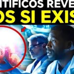 Descubre cómo fueron creados con un propósito según la Biblia