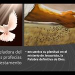 Descubre las variadas funciones del Espíritu Santo en la fe cristiana