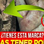 Descubre los Dones y Talentos en la Biblia: Un Viaje Profundo a la Sabiduría Divina