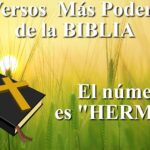 Descubre los Mejores Proverbios y Versículos para Jóvenes: Inspiración y Sabiduría