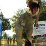 ¿Por qué la Biblia no menciona a los dinosaurios?