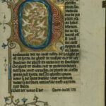 Discover the 7 Powerful Gifts of the Holy Spirit in the Bible