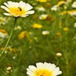 When I Read the Bible, I Believe the World Was Created by God