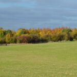 Descubre el misterio de Gog y Magog en la Biblia: ¡Lo que nunca te contaron!