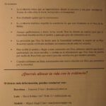 El misterio del hombre según la Biblia: descubre su verdadera esencia