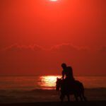 Honestidad según la Biblia: Descubre lo que realmente dice sobre este valor fundamental