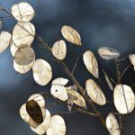 Discover the Truth: What the Bible Says About Honesty