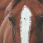 ¿Es pecado tener relaciones con un familiar según la Biblia?