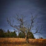 Discovering the Truth: What the Bible Really Says About Love