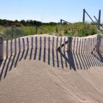 What Does the Bible Really Say About Marriage in the Reina Valera 1960?