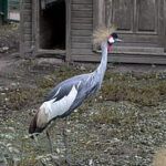 ¿Por qué los sacerdotes no pueden casarse según la Biblia? Descubre la verdad aquí