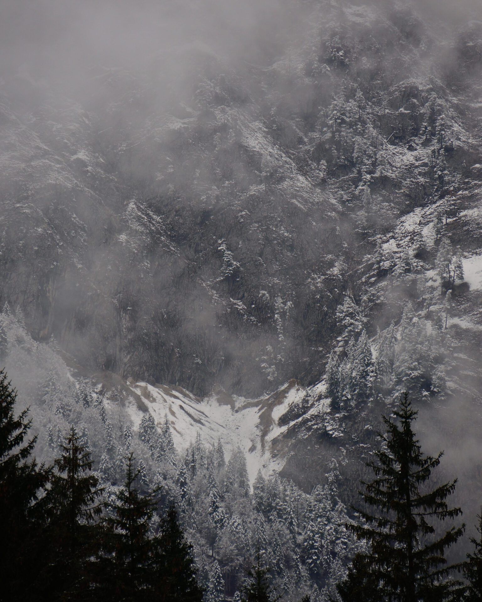 Paisaje montañoso nevado y bosque en niebla — ¿Es bíblico hacer misa por los muertos? Descubre lo que dice la Biblia