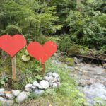 The Biblical Perspective on Caring for Nature: Insights and Lessons