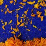 ¿Es bíblico ofrecer ofrendas a los muertos? Descubre la verdad aquí
