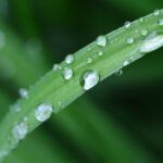 ¿Es pecado tener relaciones con un primo según la Biblia?