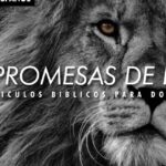Descubre las Increíbles Promesas de Dios en la Biblia: Una Guía Completa para tu Vida Espiritual