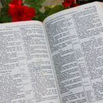 The Ultimate Guide to Understanding the Bible's Prophecies on the Last Times