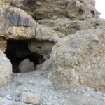 What Does Psalm 50 in the Catholic Bible Actually Say?