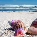 Discovering the Bible's Promise of Reunion: Where Does it Say We'll Meet Again?