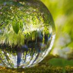 Discover the Biblical Truth: The Earth is Round