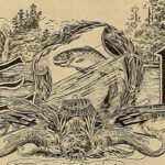 Descubre el mensaje oculto del Salmo 65 de la Biblia Católica